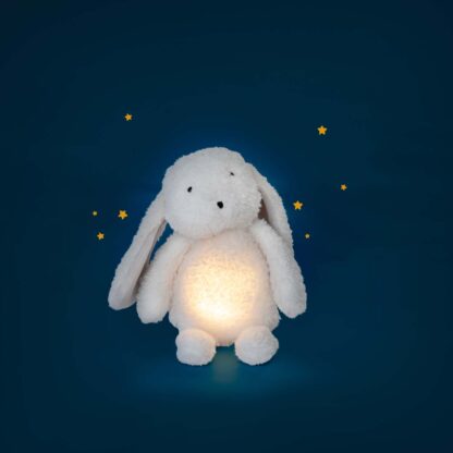 Moulin Roty - Pamacs és Pamut - Nyuszi plüss (29 cm) és USB éjjeli fény - Image 3